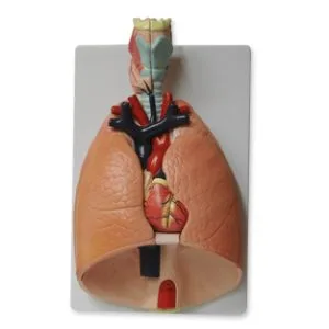 Sistema respiratorio Marca Nahita.