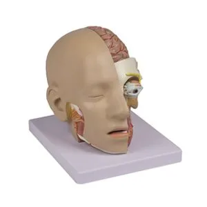 CABEZA Y CUELLO Marca Nahita.
