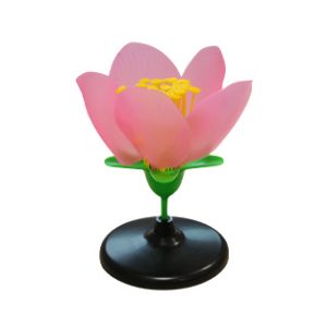 flor-de-melocoton