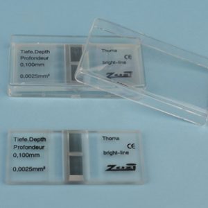 CAMARA THOMA LINEAS CLARAS Marca Zuzi.