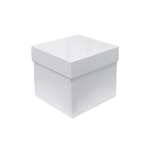CAJA CRIOGÉNICA DE CARTÓN CON RECUBRIMIENTO PARA VIALES DE 15ML 6X6 Marca Endo Plasticware.