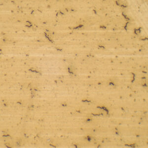 EXTENSION DE TRES TIPOS DE BACTERIAS Marca Zuzi.