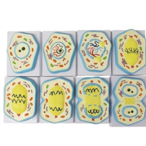 MITOSIS Marca Nahita.