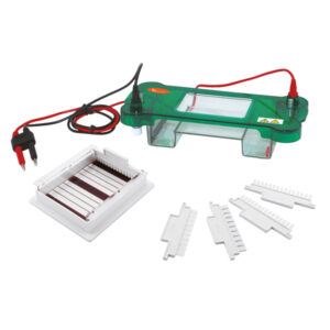 SISTEMA DE ELECTROFORESIS HORIZONTAL