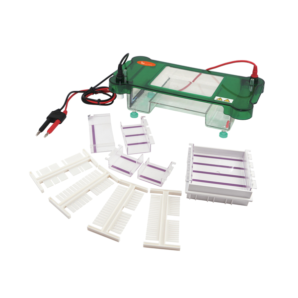 SISTEMA DE ELECTROFORESIS HORIZONTAL - Imagen 2