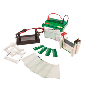 SISTEMA DE ELECTROFORESIS VERTICAL
