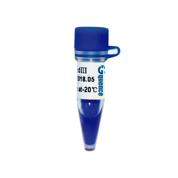 Marcador Lambda DNA HindIII