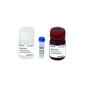 Kit de ensayo con gen reportero luciferase