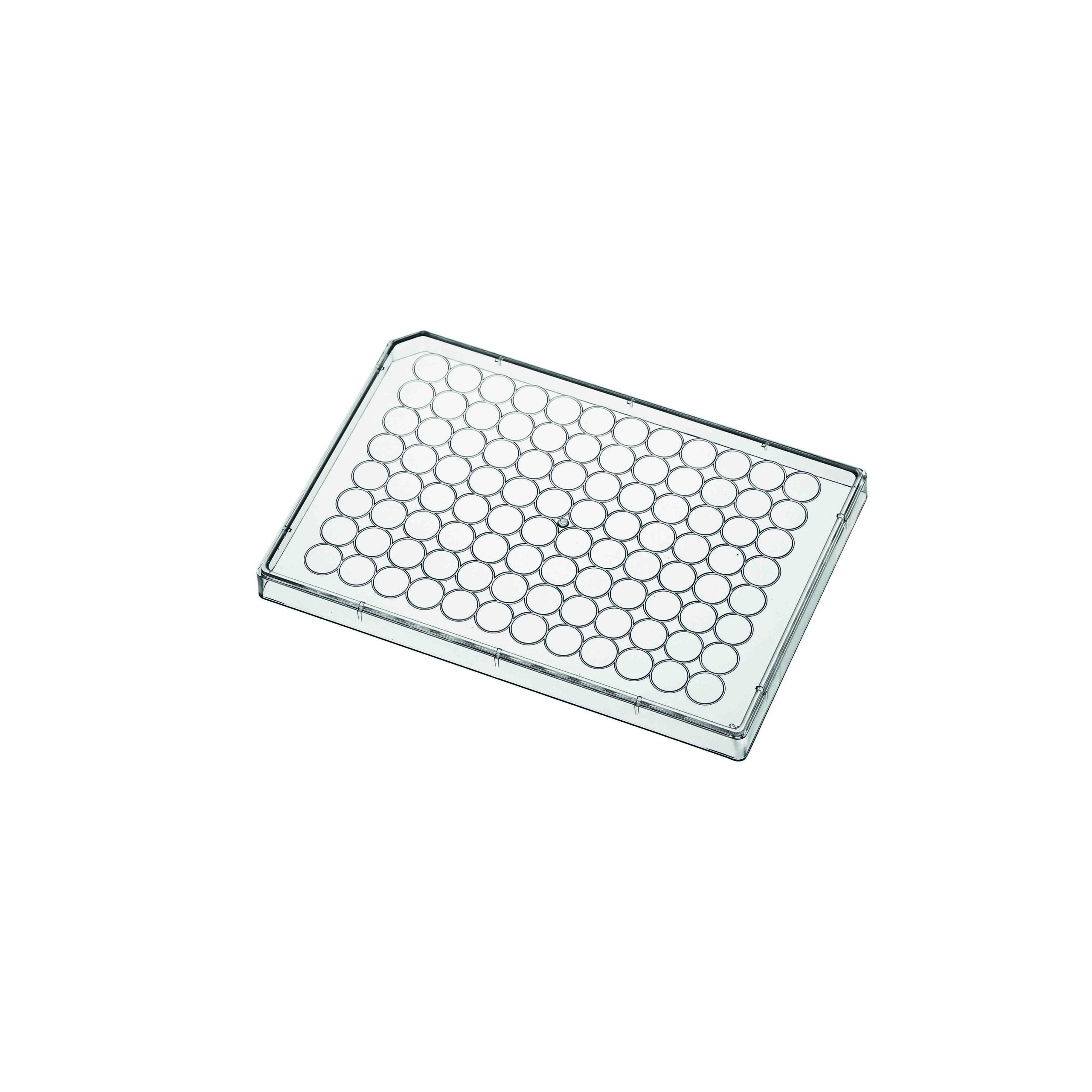 Tiras de tubos de microtitulación - Imagen 2