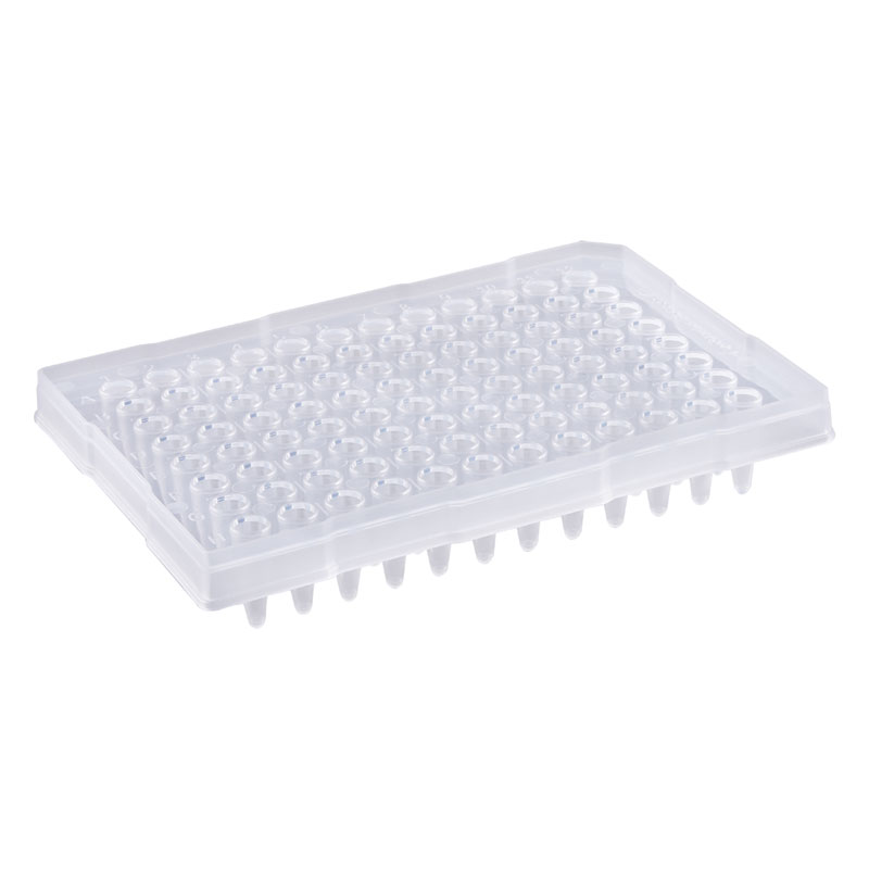 Placas de 96 pocillos para PCR/qPCR - Imagen 5