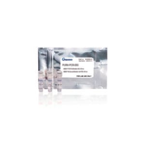Kit qLUMEN One-Step para RT-qPCR con colorante verde