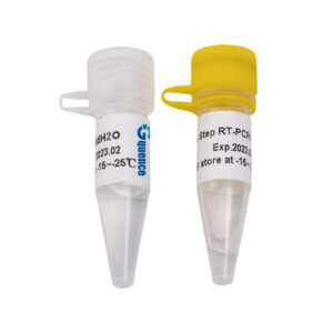 Potenciador para PCR x-VITA