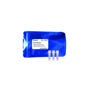 Taq polimerasa Hot Start x-VITA