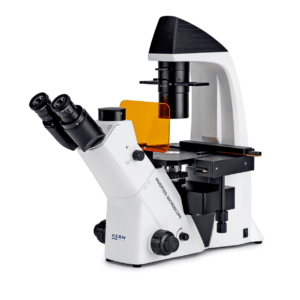 Microscopio invertido KERN OCM 167