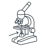Material de microscopía: portas y cubres