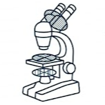 Microscopios polarizantes