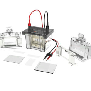 Cubeta electroforesis vertical DL-Mini01. Marca DLab.