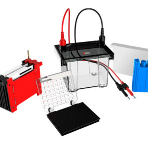 Cubeta de transferencia DL-ZY02. Marca DLab.