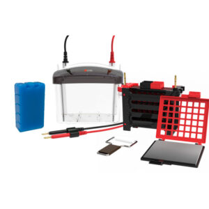 Cubeta de transferencia DL-ZY04. Marca DLab.