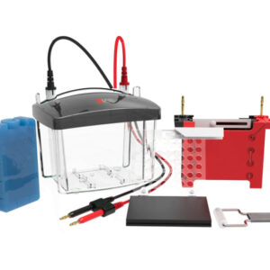Cubeta de transferencia DL-ZY03. Marca DLab.